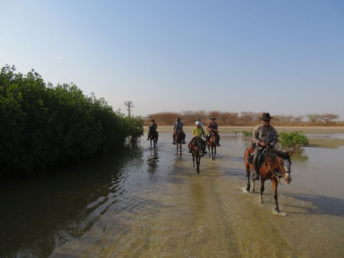 Randonnée de la savane à la mer