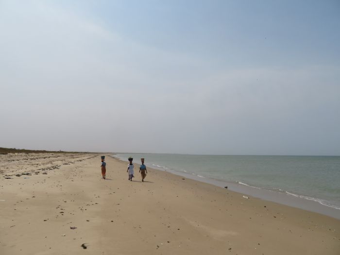Randonnée de la savane à la mer
