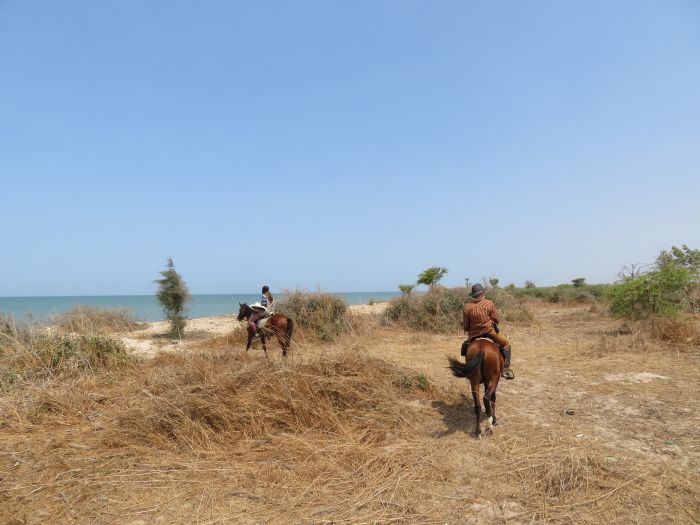 Randonnée de la savane à la mer