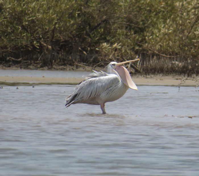Randonnée de la savane à la mer