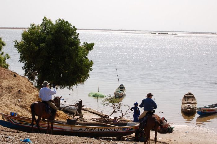 Randonnée de la savane à la mer