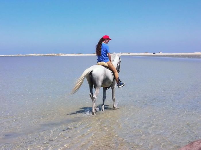 L'île ensoleillée de Djerba