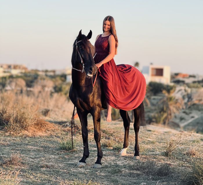 L'&icirc;le ensoleill&eacute;e de Djerba