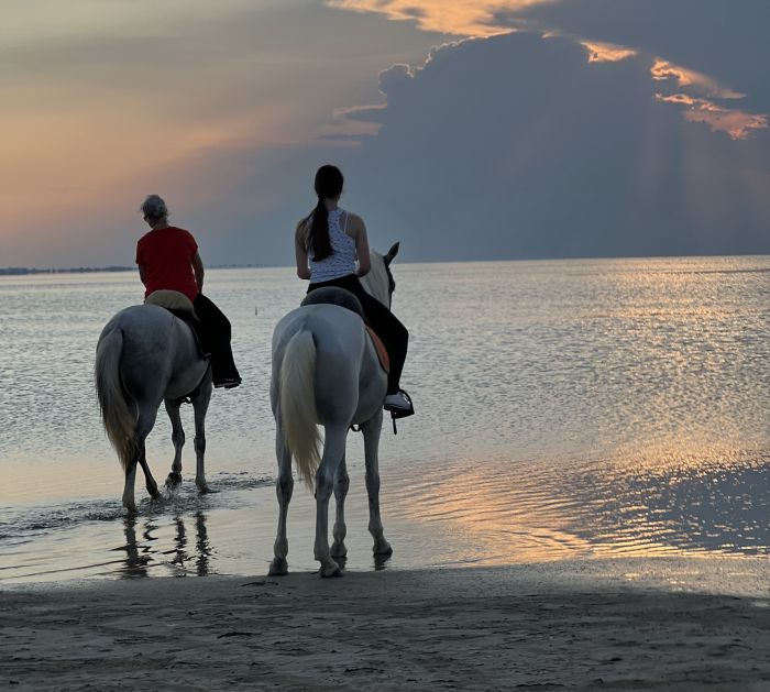 L'&icirc;le ensoleill&eacute;e de Djerba