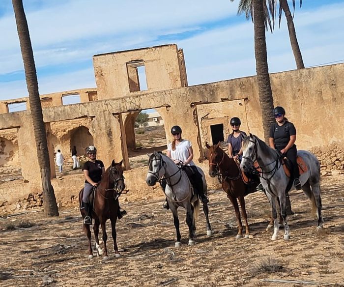 L'&icirc;le ensoleill&eacute;e de Djerba