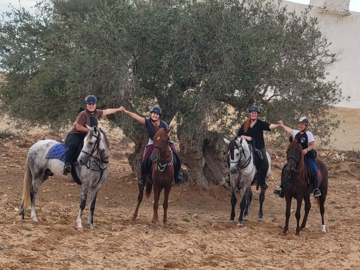 L'&icirc;le ensoleill&eacute;e de Djerba