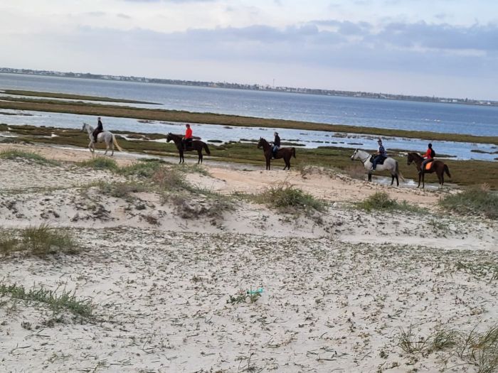 L'&icirc;le ensoleill&eacute;e de Djerba