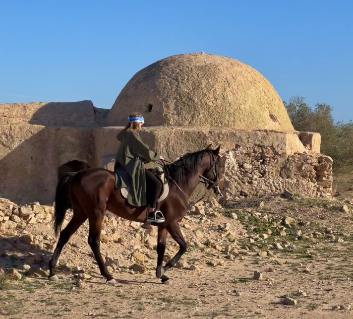 L'&icirc;le ensoleill&eacute;e de Djerba