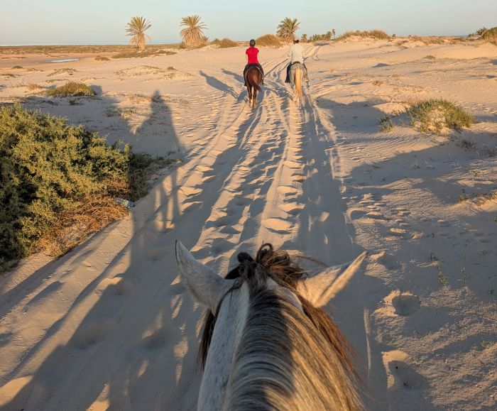 L'&icirc;le ensoleill&eacute;e de Djerba