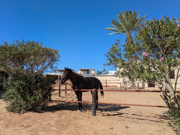 L'&icirc;le ensoleill&eacute;e de Djerba