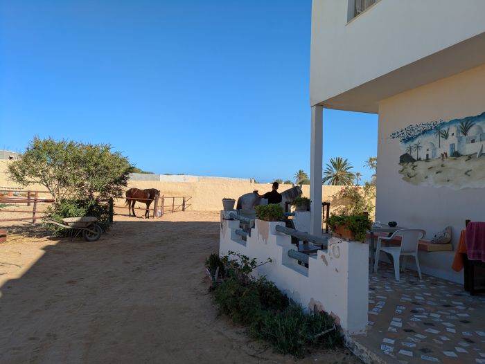 L'&icirc;le ensoleill&eacute;e de Djerba