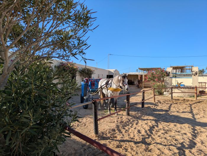 L'&icirc;le ensoleill&eacute;e de Djerba