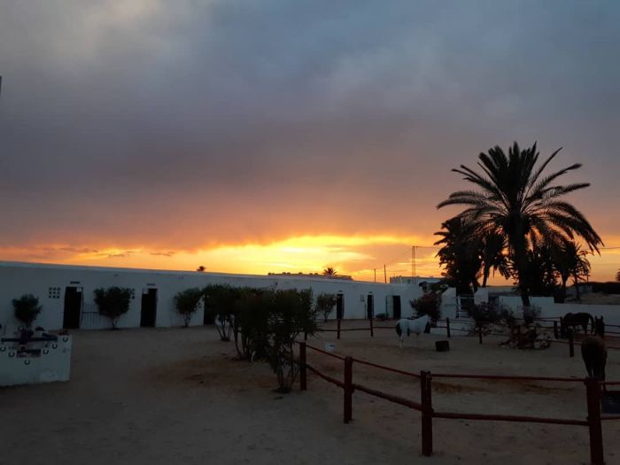 L'île ensoleillée de Djerba