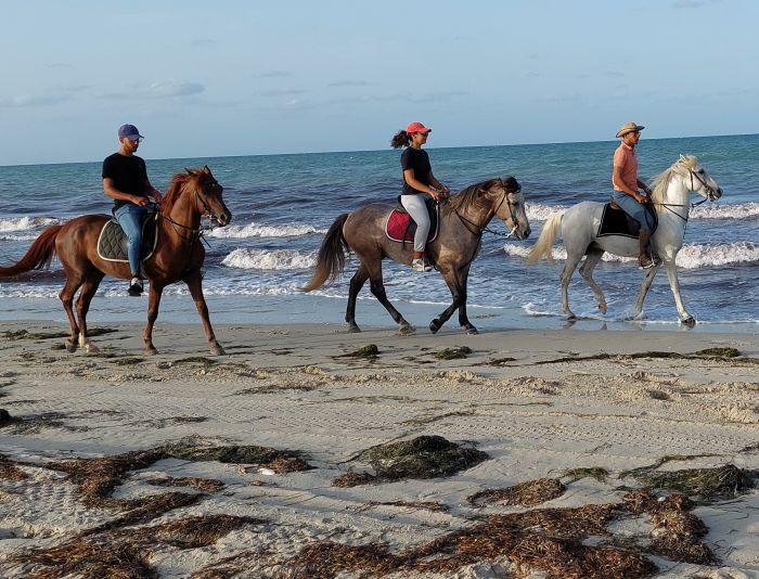 L'&icirc;le ensoleill&eacute;e de Djerba