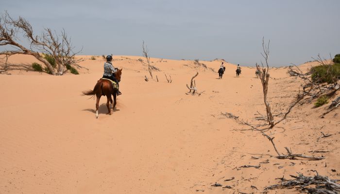 Parcours côtier d'Essaouira
