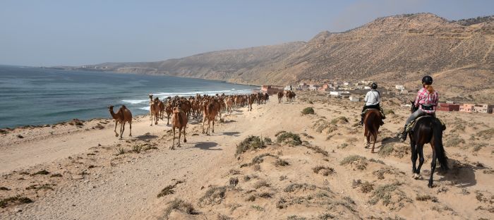 Parcours côtier d'Essaouira
