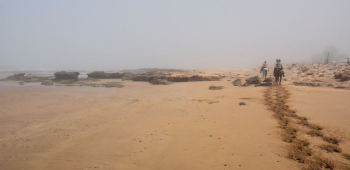 Parcours côtier d'Essaouira