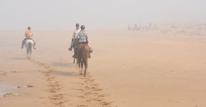 Parcours côtier d'Essaouira