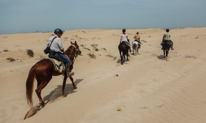 Parcours côtier d'Essaouira
