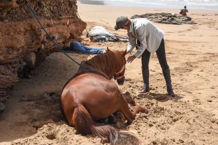 Parcours côtier d'Essaouira