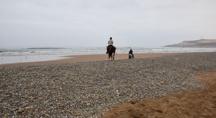 Parcours côtier d'Essaouira