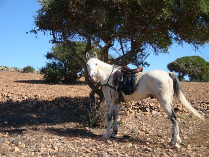 La magie du Sud