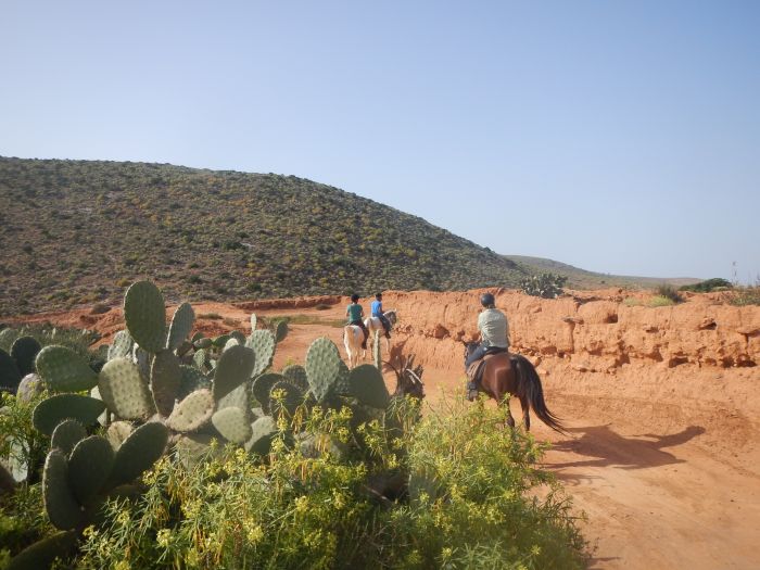 La magie du Sud