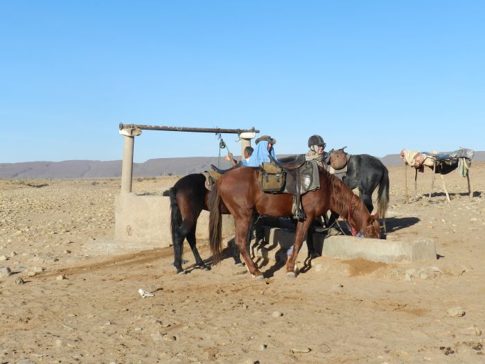 Randonnée dans les déserts du Sahara