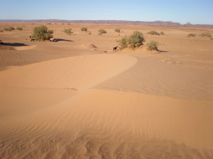 Randonnée dans les déserts du Sahara