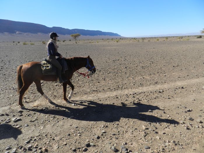 Randonnée dans les déserts du Sahara