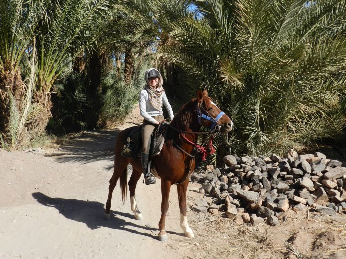 Randonnée dans les déserts du Sahara