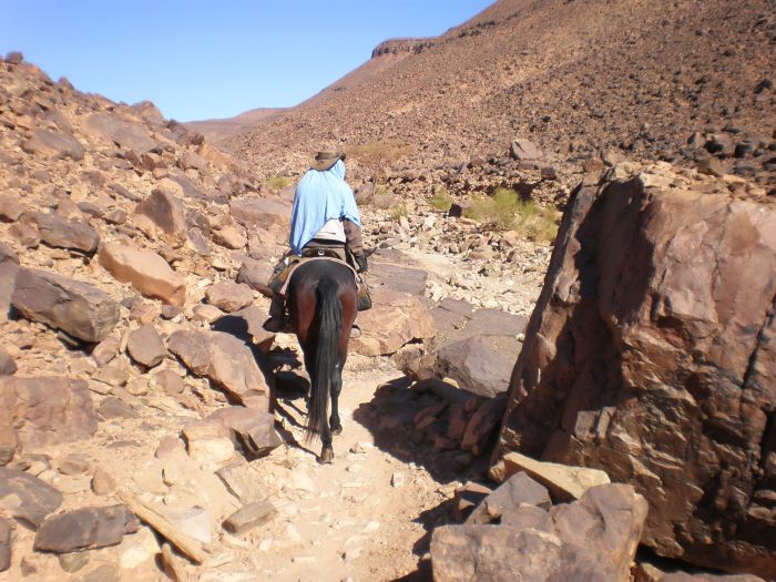 Randonnée dans les déserts du Sahara