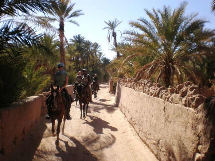 Randonnée dans les déserts du Sahara