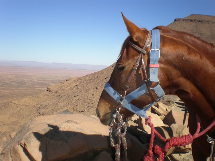 Randonnée dans les déserts du Sahara