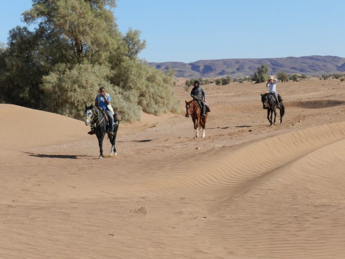 Randonnée dans les déserts du Sahara