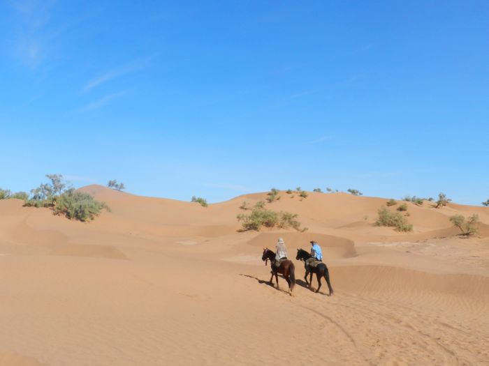 Randonnée dans les déserts du Sahara