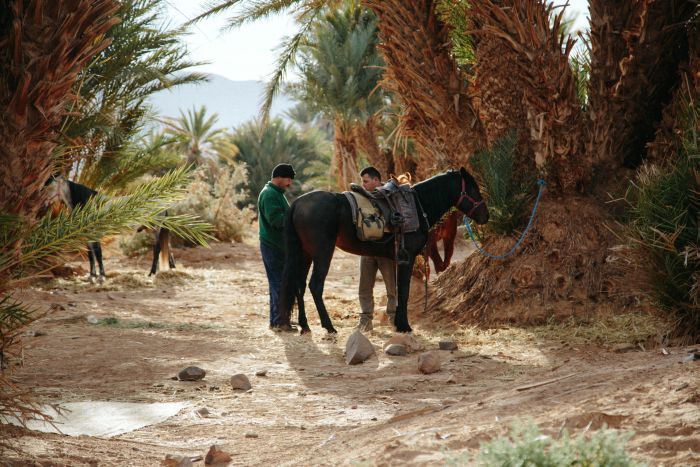 Randonnée dans les déserts du Sahara