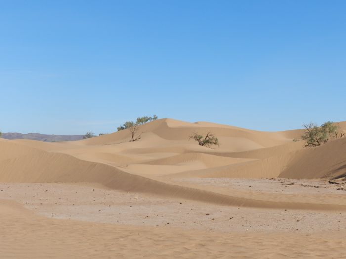 Randonnée dans les déserts du Sahara