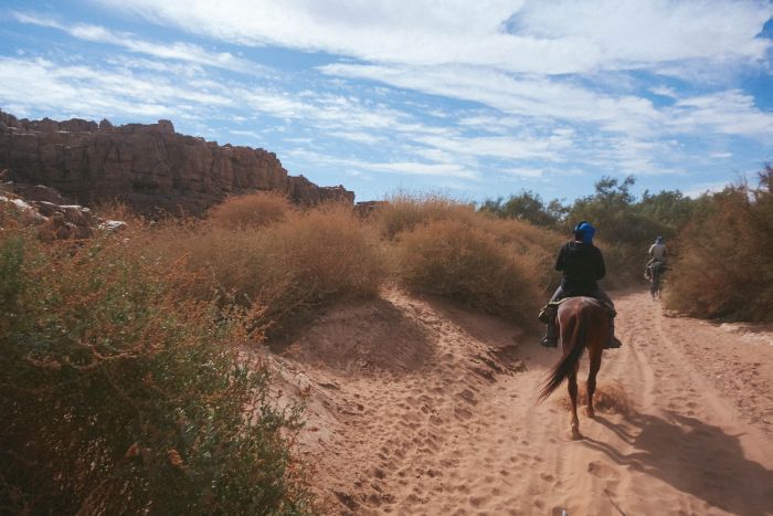 Randonnée dans les déserts du Sahara