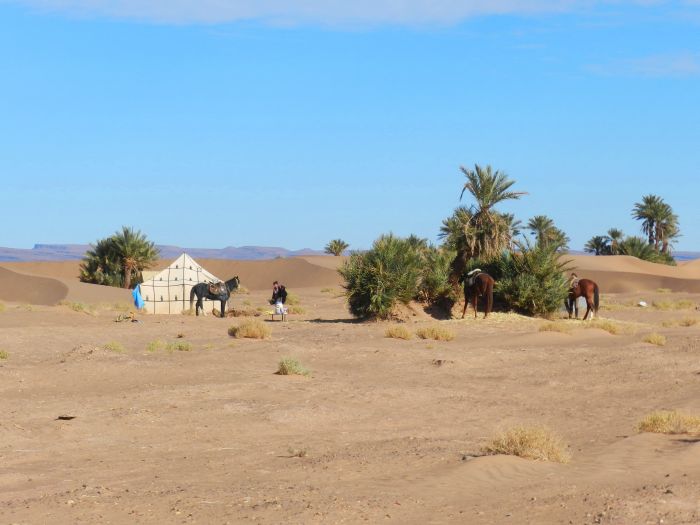 Randonnée dans les déserts du Sahara