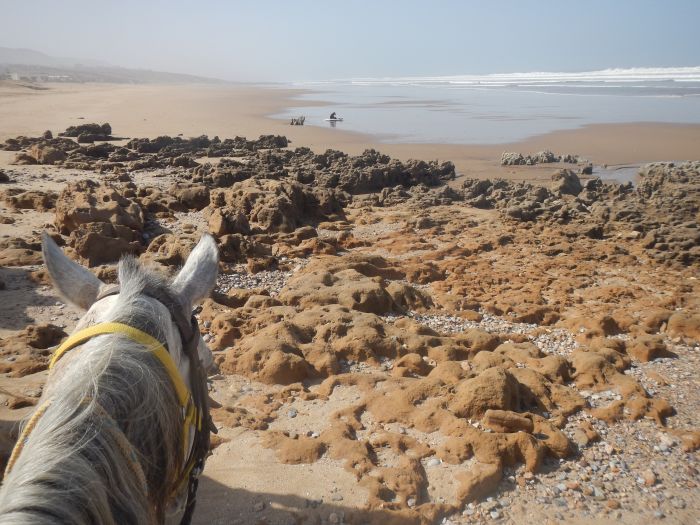 Des plages de rêve le long de l'océan Atlantique