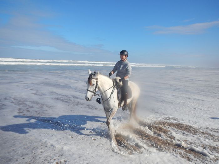 Des plages de rêve le long de l'océan Atlantique