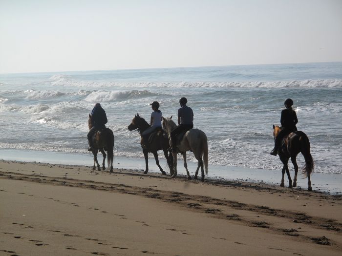 Des plages de rêve le long de l'océan Atlantique