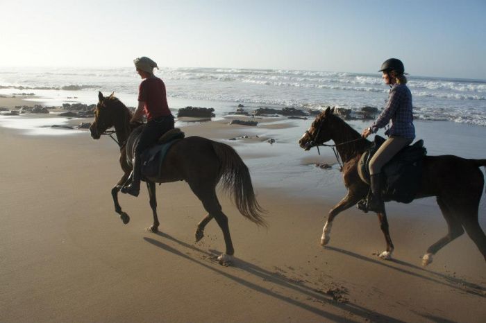 Des plages de rêve le long de l'océan Atlantique