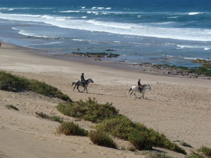 Des plages de rêve le long de l'océan Atlantique