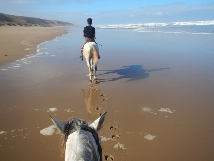 Des plages de rêve le long de l'océan Atlantique