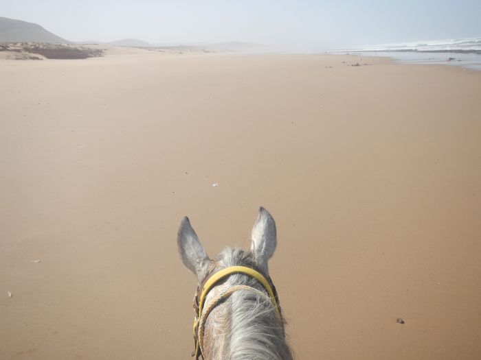Des plages de rêve le long de l'océan Atlantique