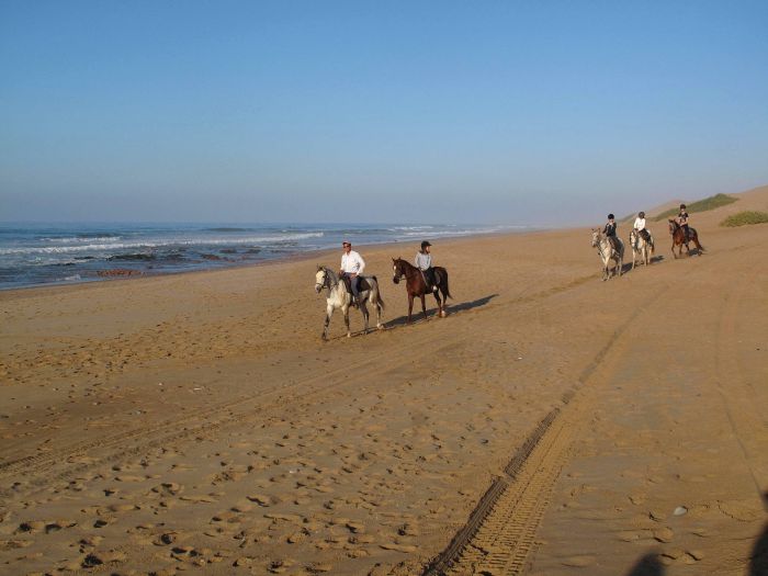 Des plages de rêve le long de l'océan Atlantique