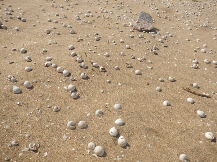 Des plages de rêve le long de l'océan Atlantique