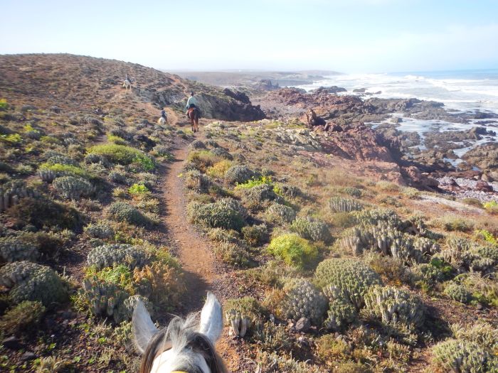 Des plages de rêve le long de l'océan Atlantique
